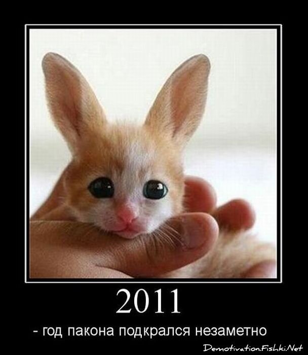 Смешной демотиватор от zubrilov за 29.12.2010 №64730
