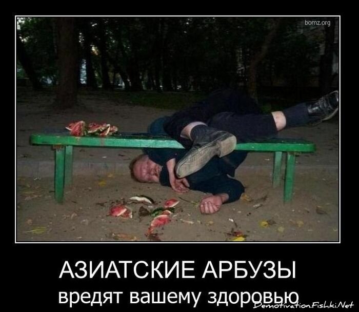 Смешной демотиватор от zubrilov за 29.12.2010 №64731