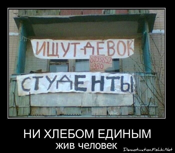 Смешной демотиватор от zubrilov за 29.12.2010 №64734