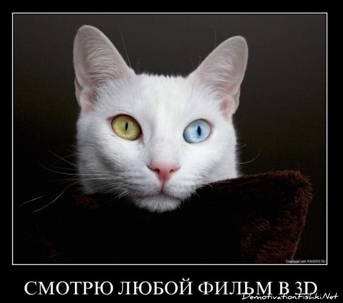 Демотиваторы, часть 97. (112 фото)