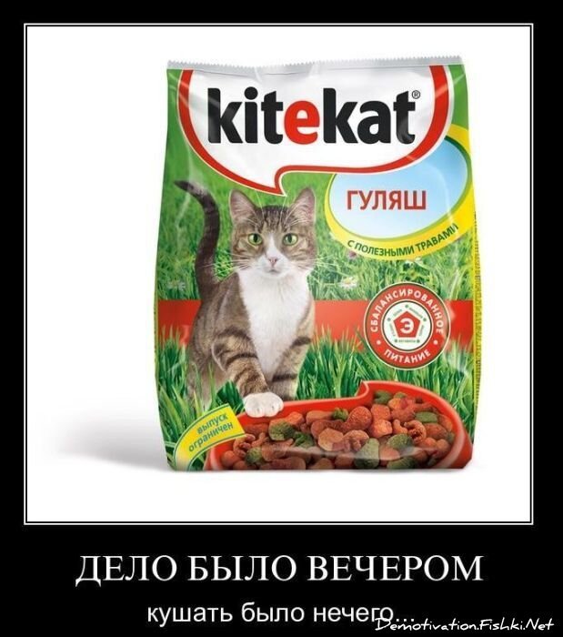 Смешной демотиватор от zubrilov за 29.12.2010 №64739