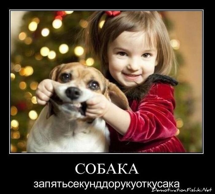 Смешной демотиватор от zubrilov за 29.12.2010 №64752