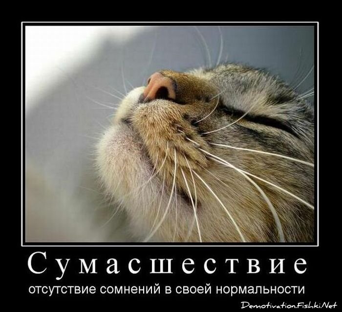 Смешной демотиватор от zubrilov за 29.12.2010 №64755