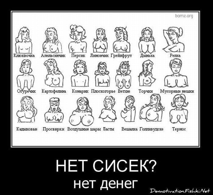 Смешной демотиватор от zubrilov за 29.12.2010 №64758