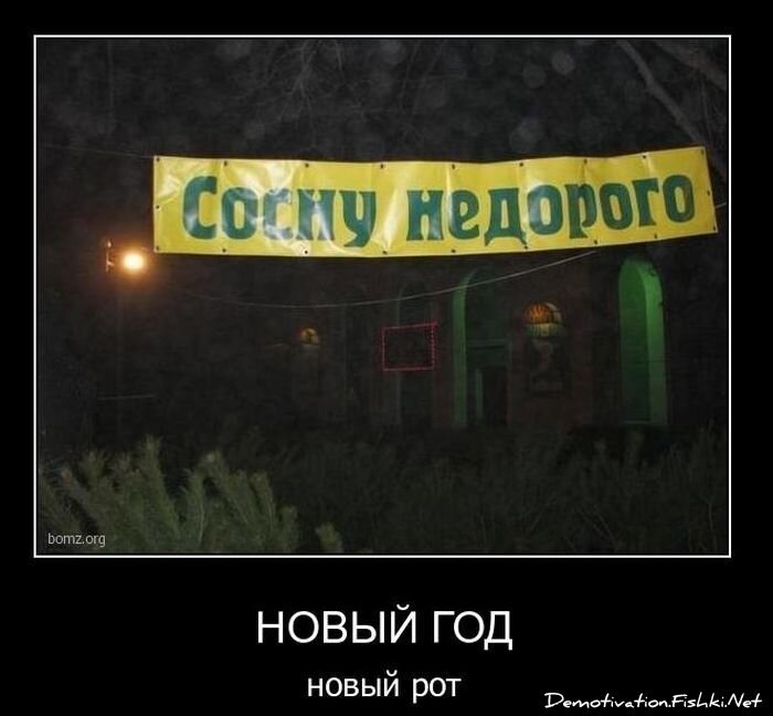 Смешной демотиватор от zubrilov за 29.12.2010 №64762
