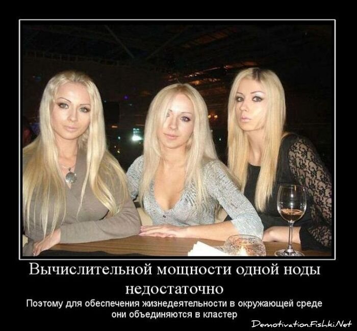 Смешной демотиватор от zubrilov за 29.12.2010 №64763