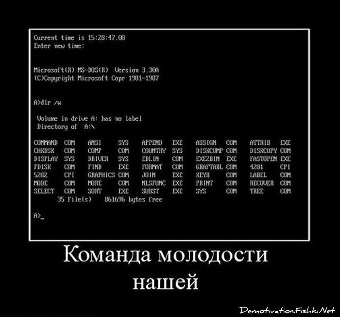 Смешной демотиватор от zubrilov за 29.12.2010 №64766