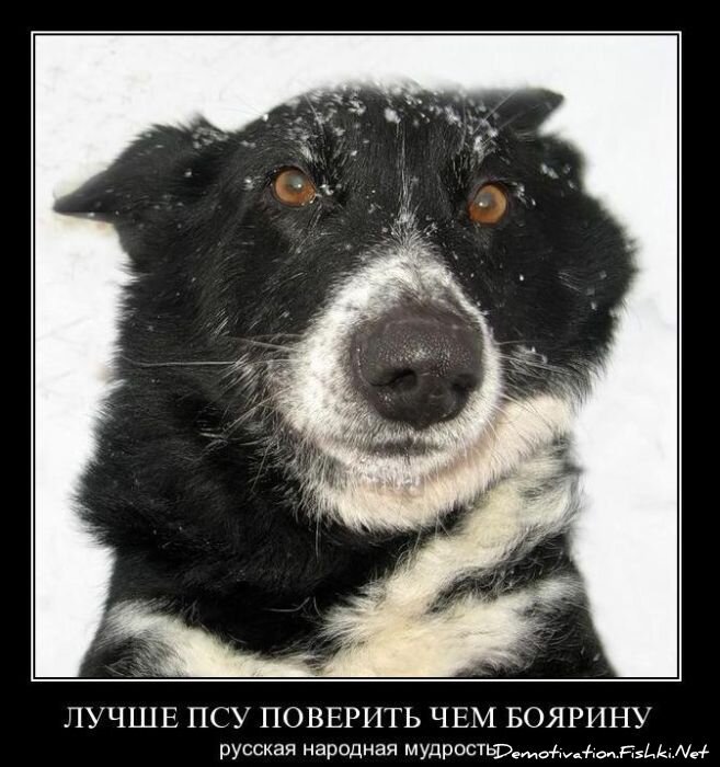 Смешной демотиватор от zubrilov за 29.12.2010 №64767