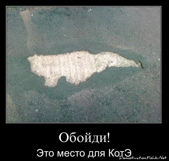 Смешной демотиватор от zubrilov за 29.12.2010 №64772