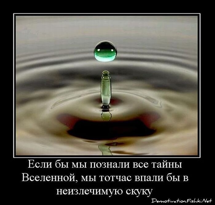 Смешной демотиватор от zubrilov за 29.12.2010 №64773