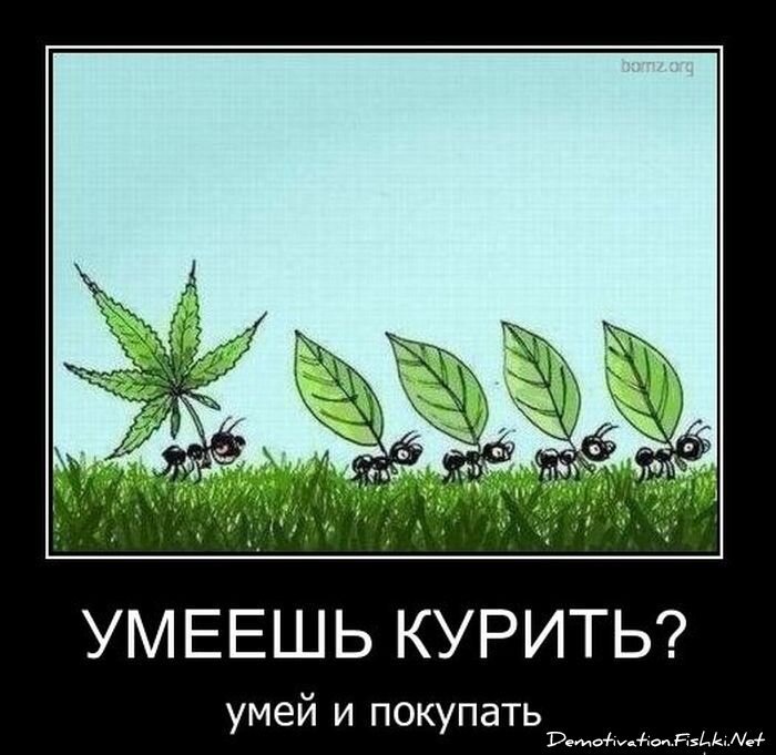 Смешной демотиватор от zubrilov за 29.12.2010 №64778