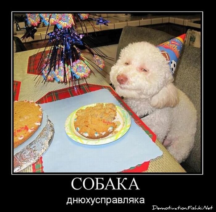 Смешной демотиватор от zubrilov за 29.12.2010 №64781