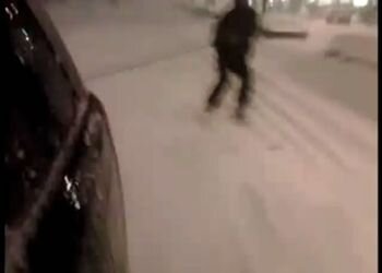 Подборка роликов