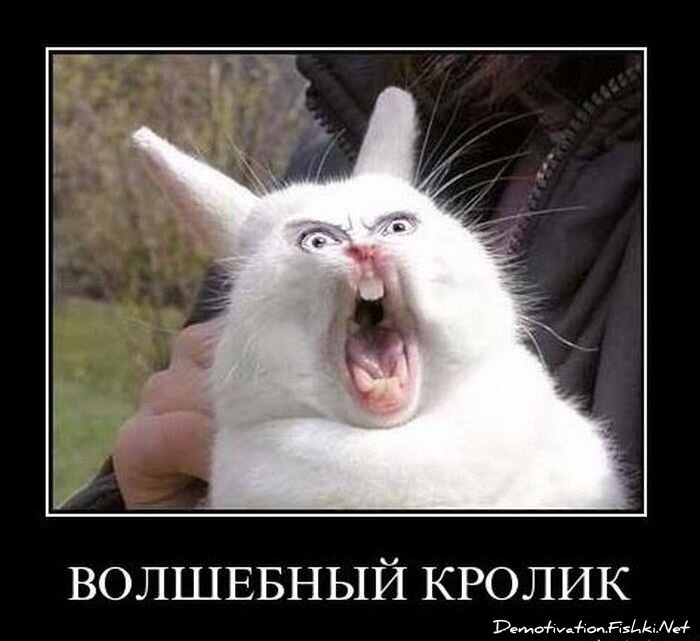 Смешной демотиватор от zubrilov за 14.01.2011 №65311