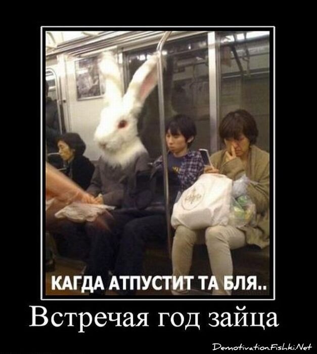 Смешной демотиватор от zubrilov за 14.01.2011 №65313