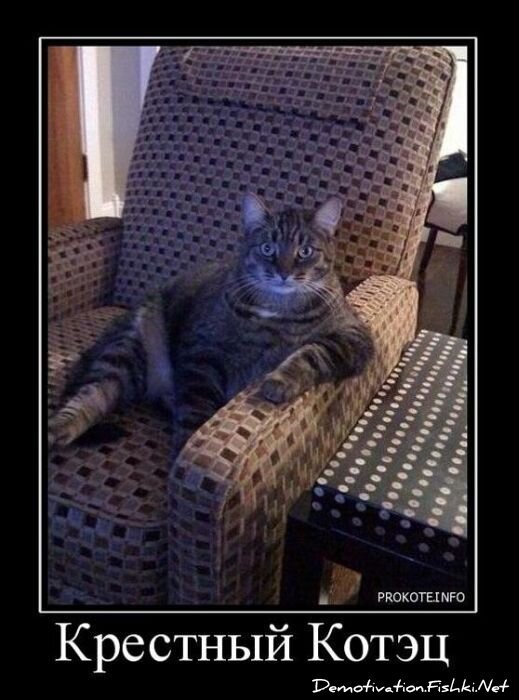 Смешной демотиватор от zubrilov за 14.01.2011 №65314