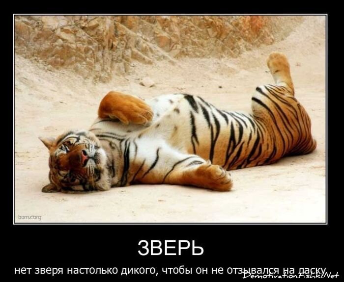 Смешной демотиватор от zubrilov за 14.01.2011 №65315