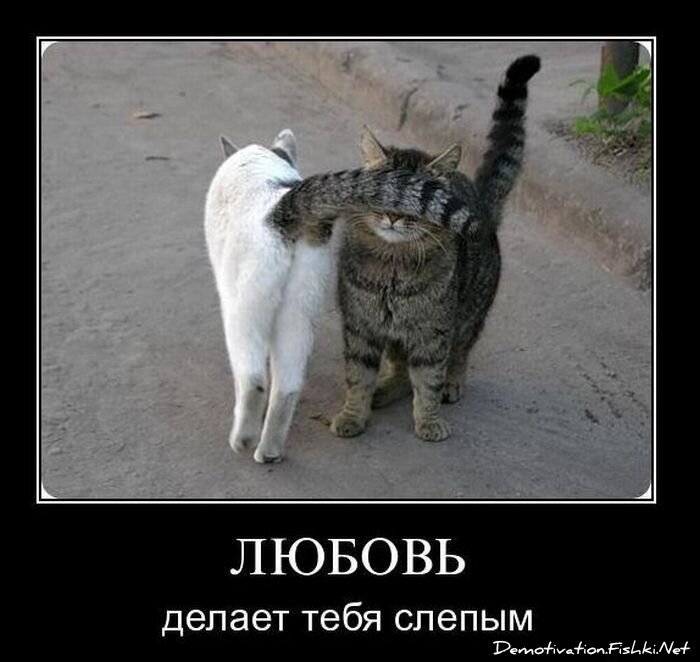 Смешной демотиватор от zubrilov за 14.01.2011 №65328