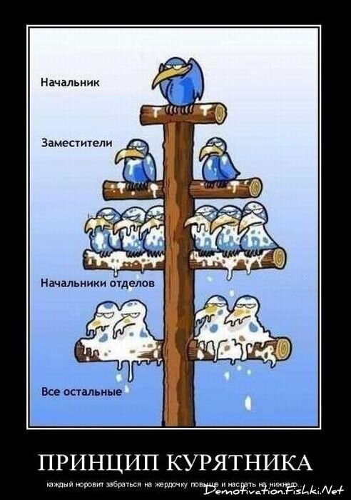 Смешной демотиватор от zubrilov за 14.01.2011 №65329