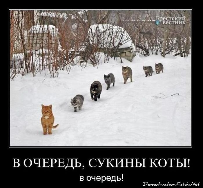 Смешной демотиватор от zubrilov за 14.01.2011 №65332