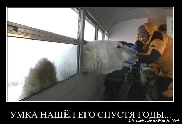 Смешной демотиватор от zubrilov за 14.01.2011 №65335