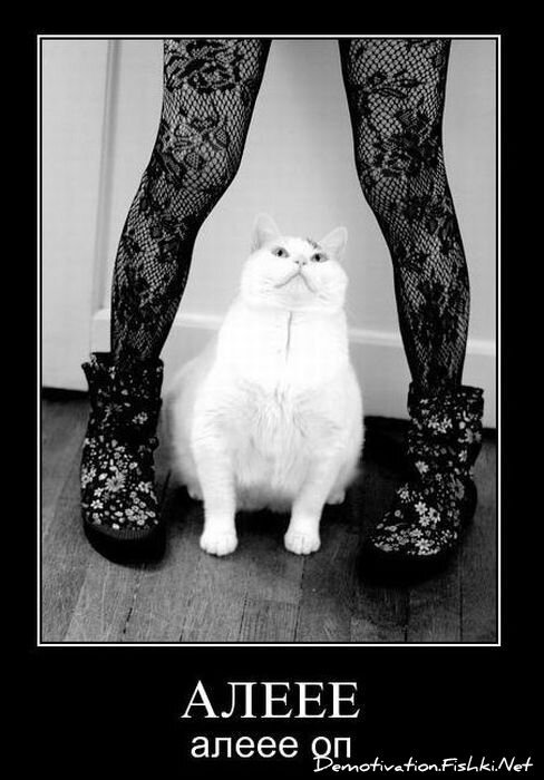Смешной демотиватор от zubrilov за 14.01.2011 №65346