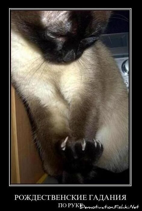 Смешной демотиватор от zubrilov за 14.01.2011 №65354