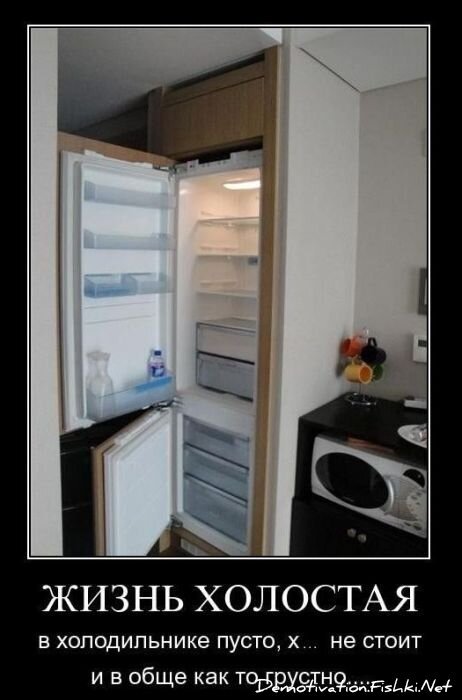 Смешной демотиватор от zubrilov за 14.01.2011 №65358