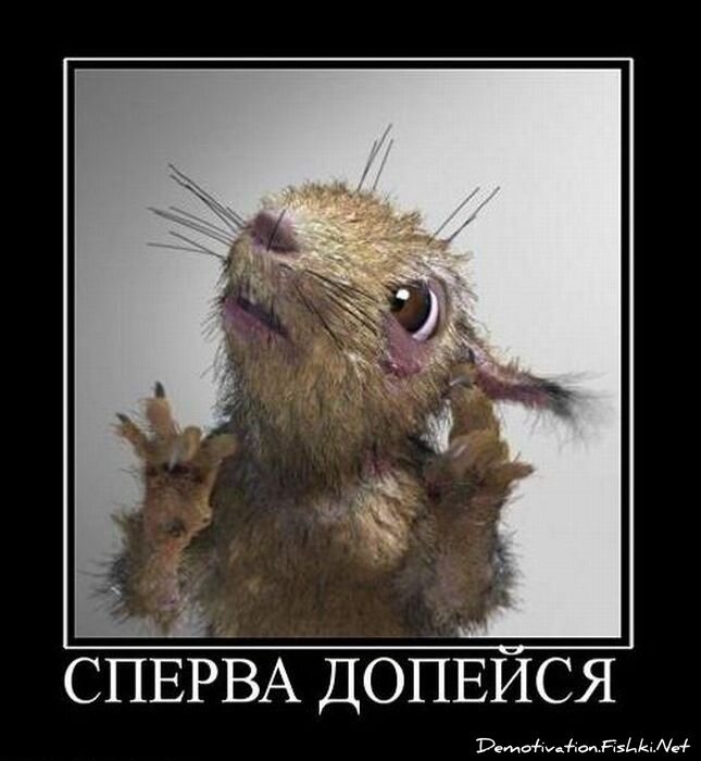 Смешной демотиватор от zubrilov за 14.01.2011 №65373