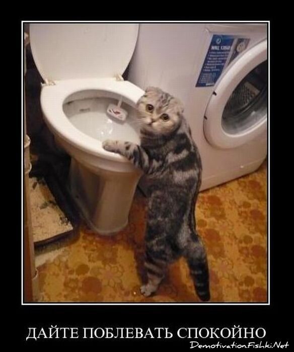 Смешной демотиватор от zubrilov за 14.01.2011 №65377