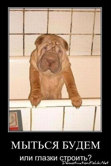 Смешной демотиватор от zubrilov за 14.01.2011 №65382