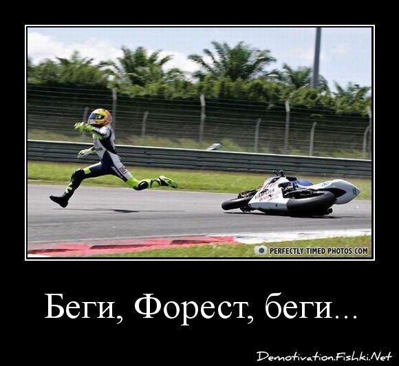 Беги, Форест, беги...