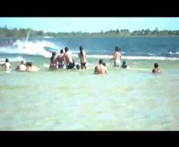 Подборка роликов