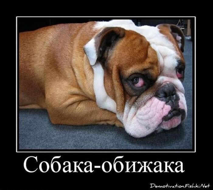 Смешной демотиватор от zubrilov за 19.01.2011 №65775