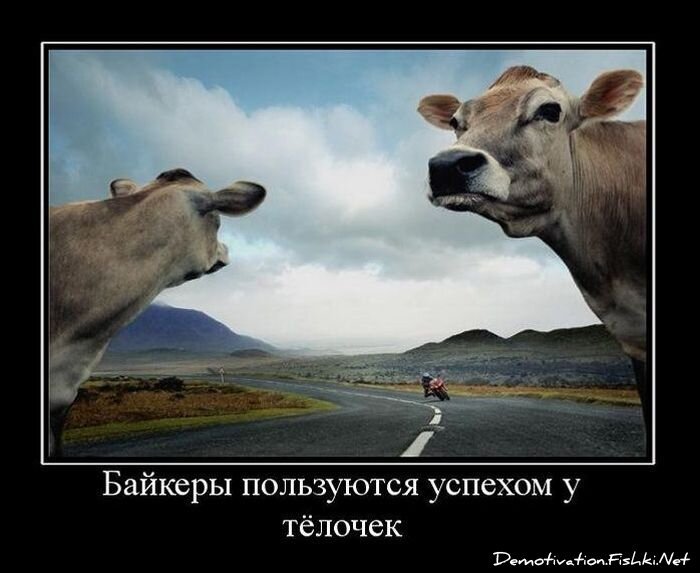 Смешной демотиватор от zubrilov за 19.01.2011 №65778