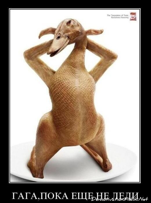 Смешной демотиватор от zubrilov за 19.01.2011 №65789