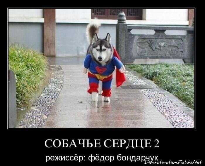 Смешной демотиватор от zubrilov за 19.01.2011 №65792