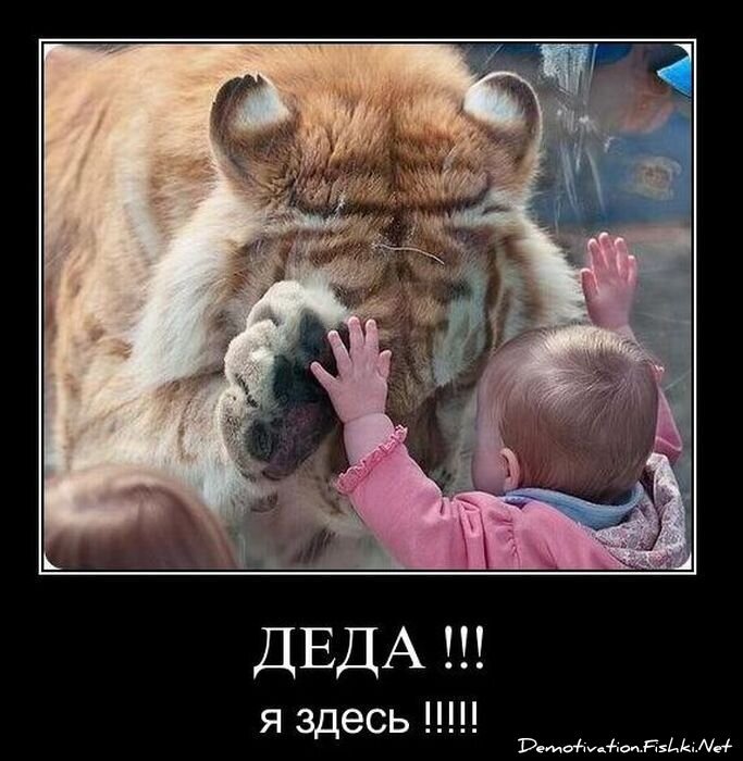 Смешной демотиватор от zubrilov за 19.01.2011 №65793