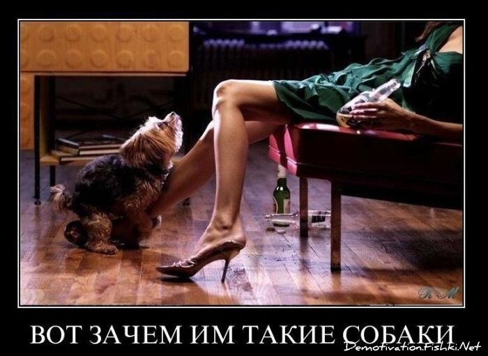 Смешной демотиватор от zubrilov за 19.01.2011 №65803