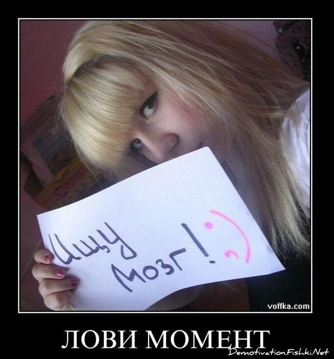 Демотиватор