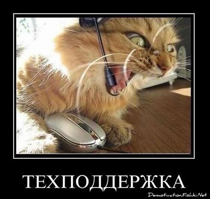 Смешной демотиватор от zubrilov за 19.01.2011 №65836