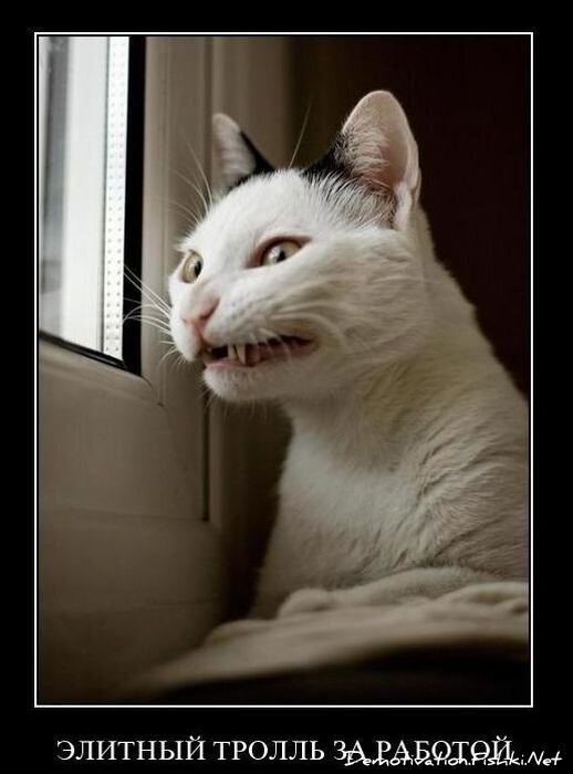 Смешной демотиватор от zubrilov за 19.01.2011 №65837