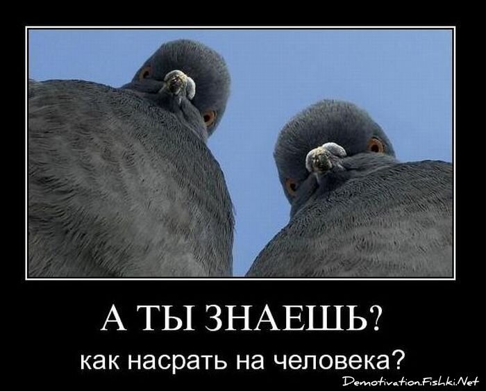 Смешной демотиватор от zubrilov за 19.01.2011 №65839