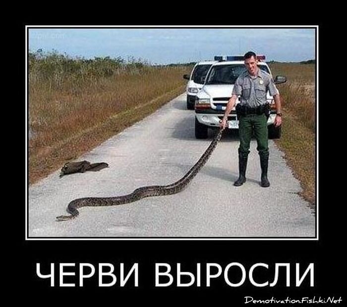 Смешной демотиватор от zubrilov за 19.01.2011 №65843