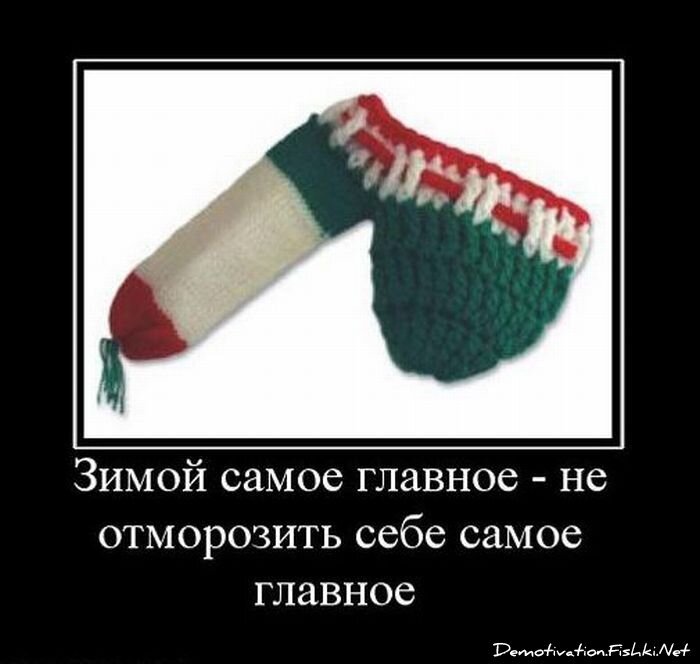 Смешной демотиватор от zubrilov за 19.01.2011 №65847