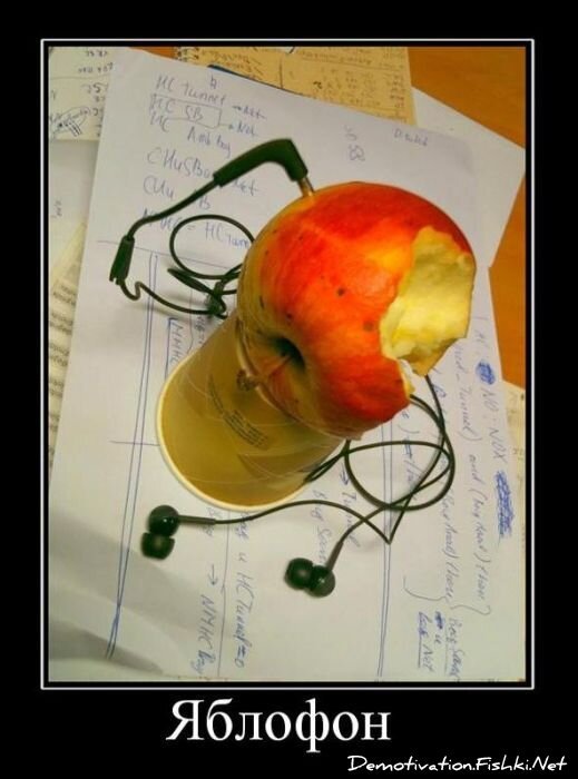 Смешной демотиватор от zubrilov за 19.01.2011 №65850