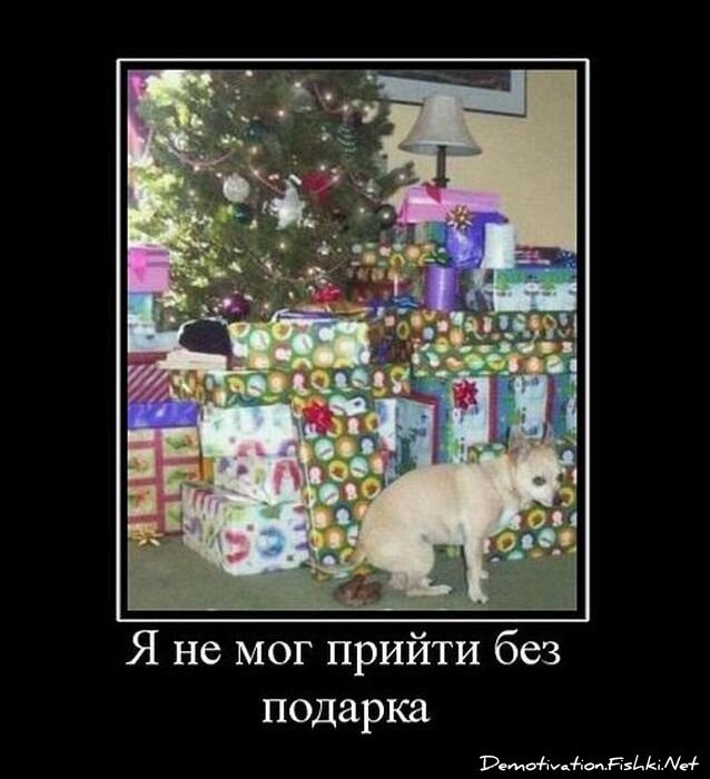 Смешной демотиватор от zubrilov за 19.01.2011 №65858