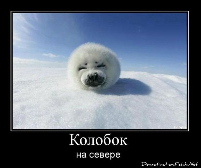 Смешной демотиватор от zubrilov за 19.01.2011 №65864