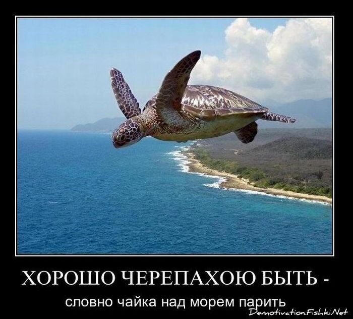 Смешной демотиватор от zubrilov за 19.01.2011 №65866