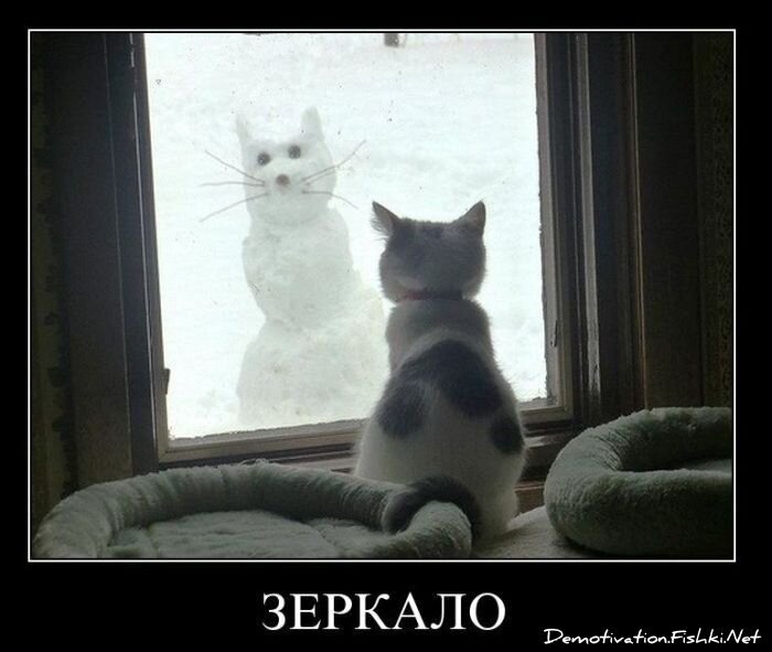 Смешной демотиватор от zubrilov за 19.01.2011 №65870